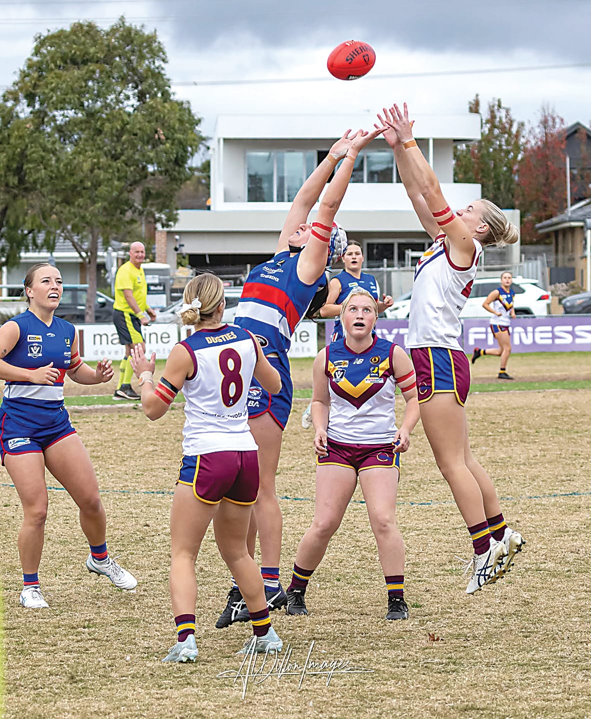 Defeat for depleted Dusties