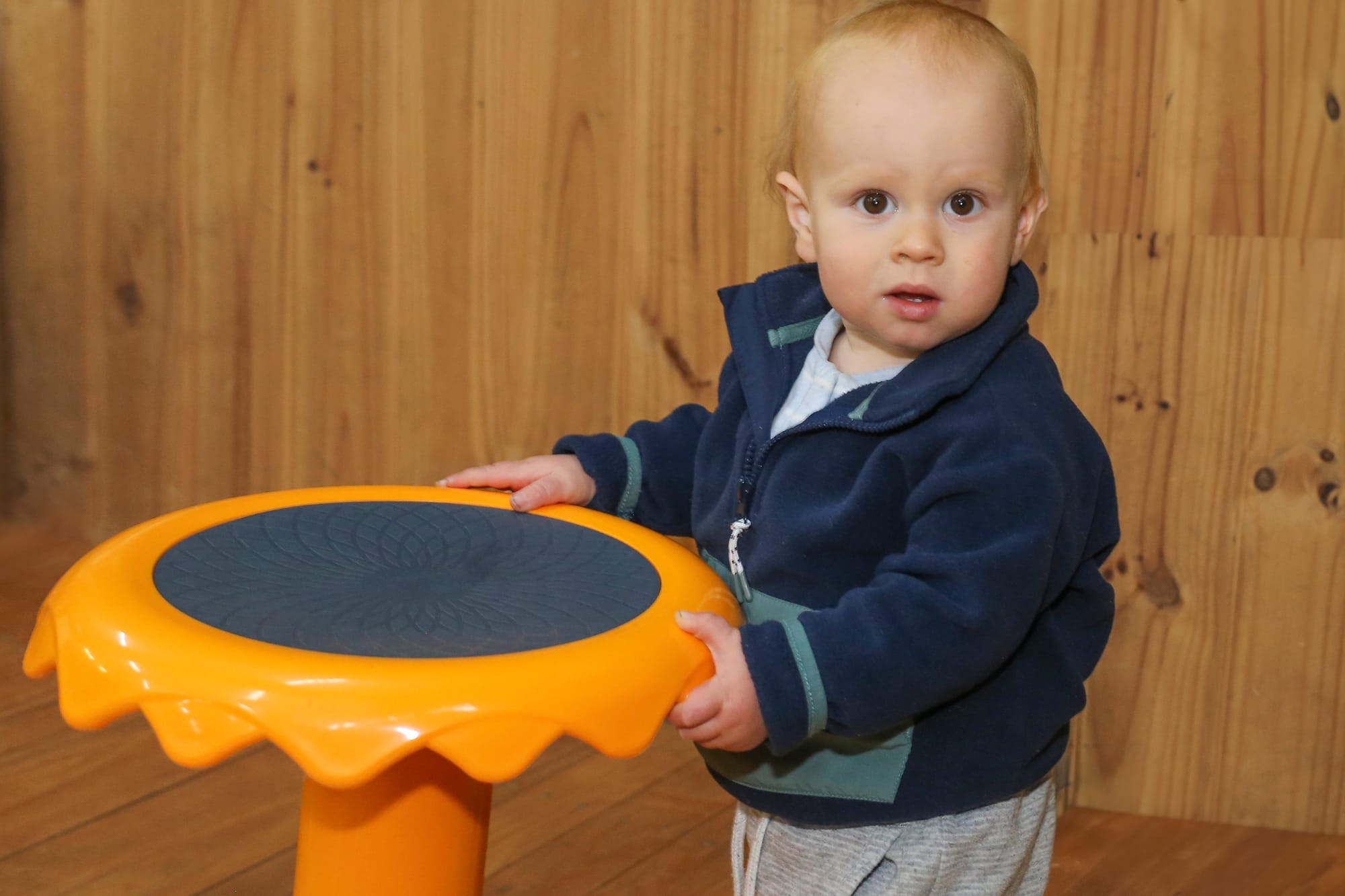 Drouin Toy Library - August 15, 2025