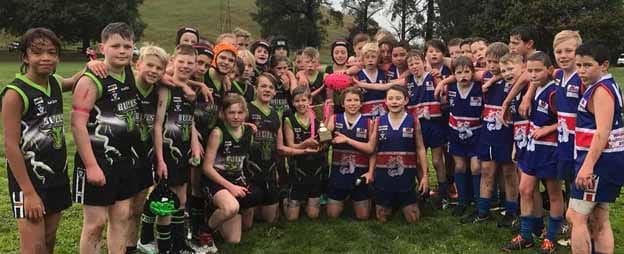 Bulls take Cup