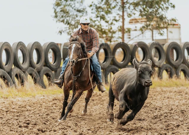 Trafalgar Campdraft - 20.01.2024