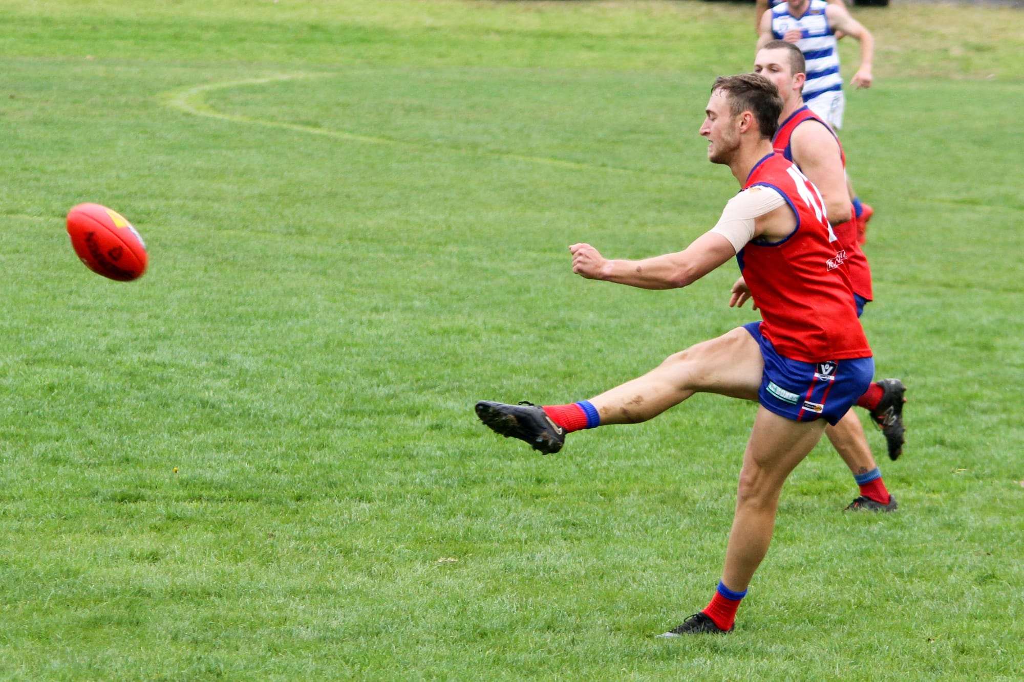 Lyrebirds head to Lang Lang