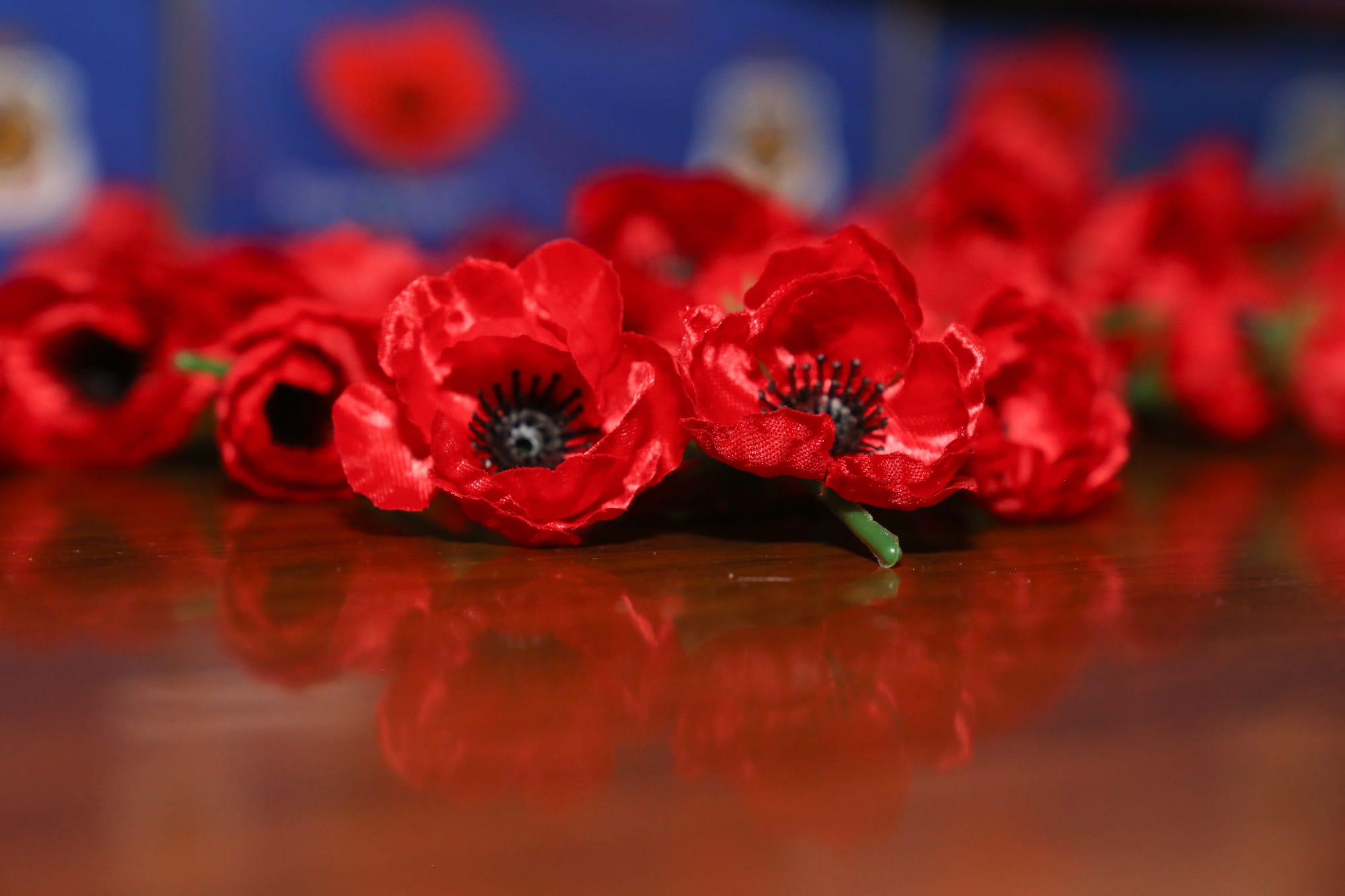 Remembrance Day services throughout the shire