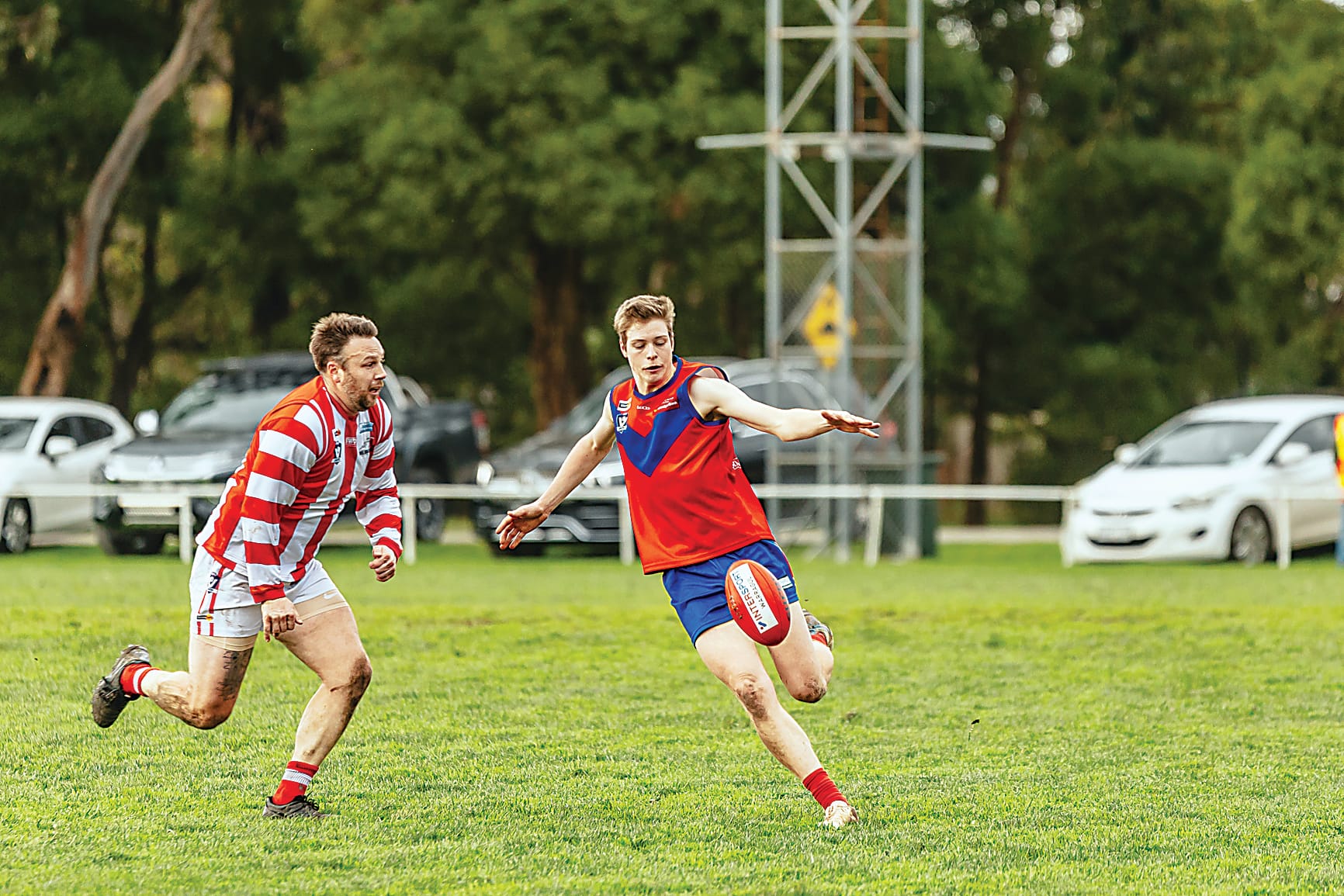 Lyrebirds hold off brave Bloods
