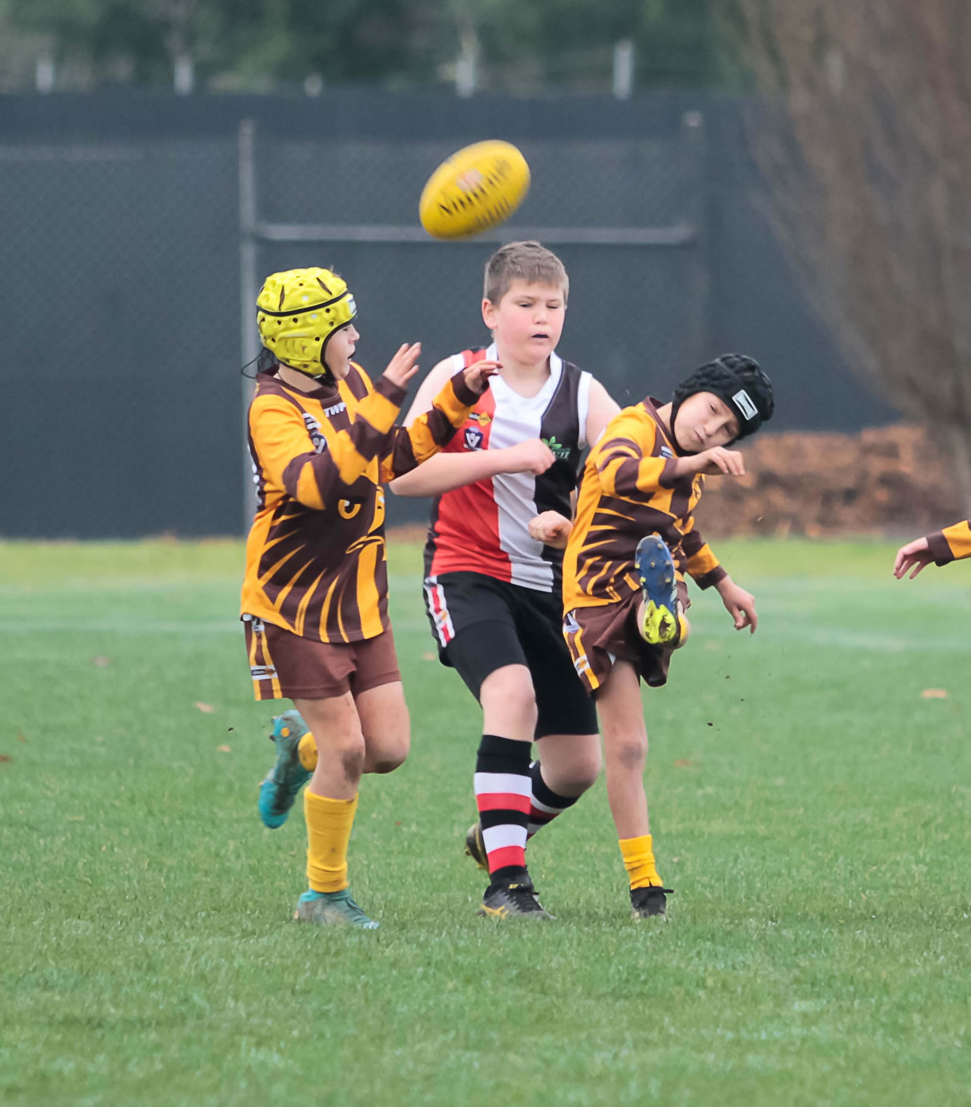 Football Junior (U10's) Warranor Vs. Nyora - 18.06.2022