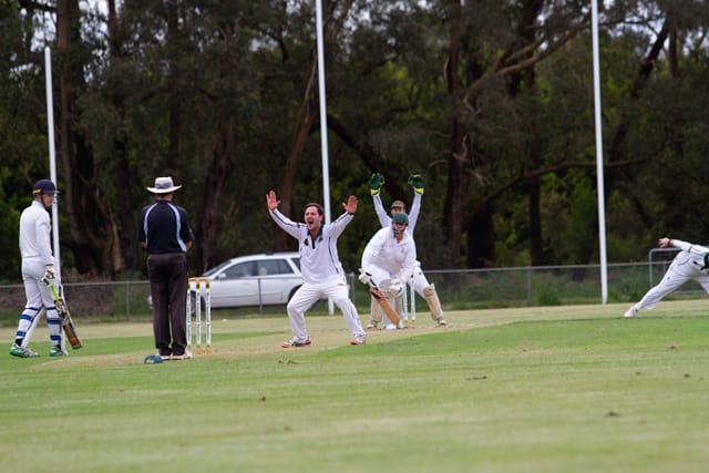 Cricket Div One Hallora v Neerim Dist - 06.11.2021
