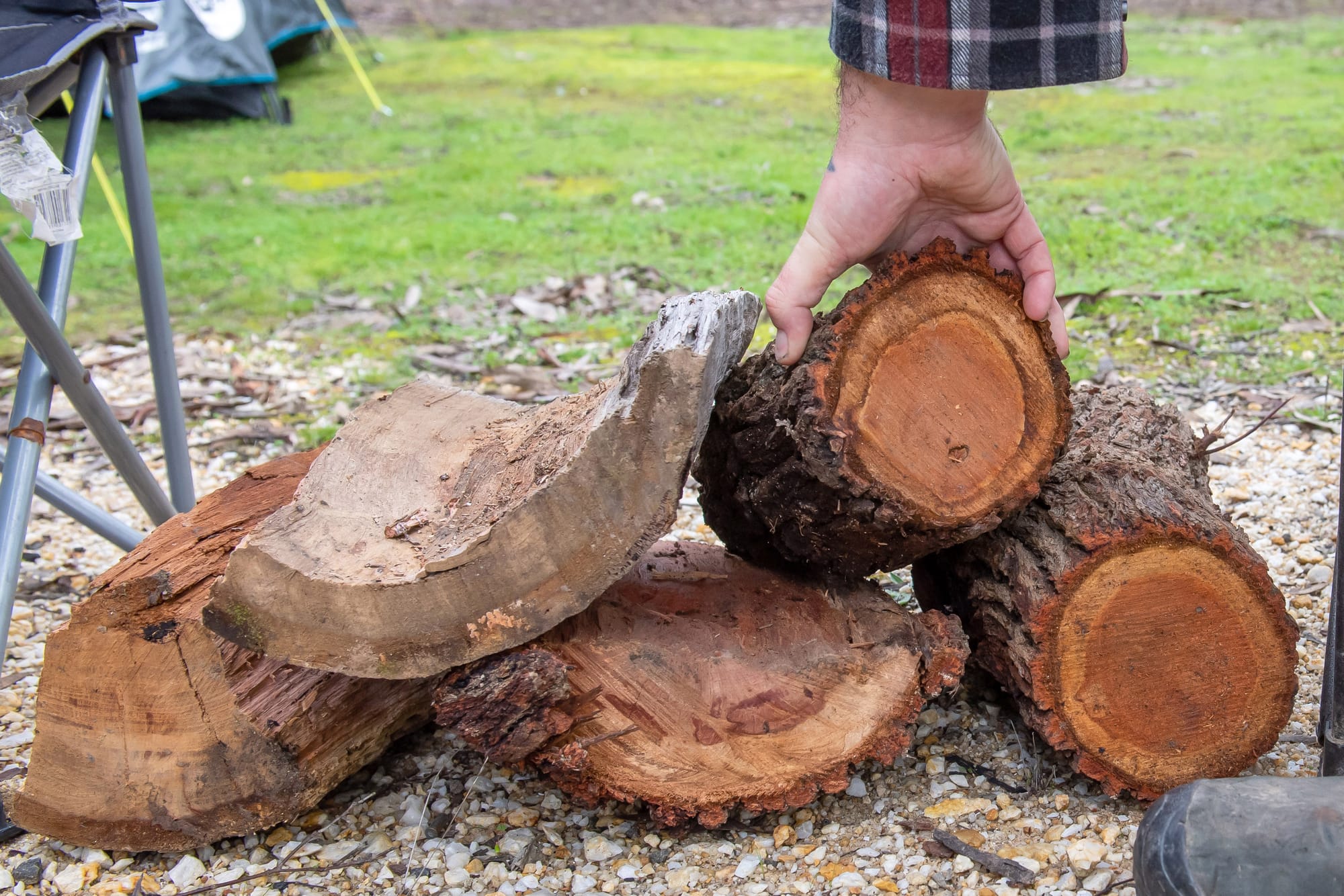 Firewood collection opens