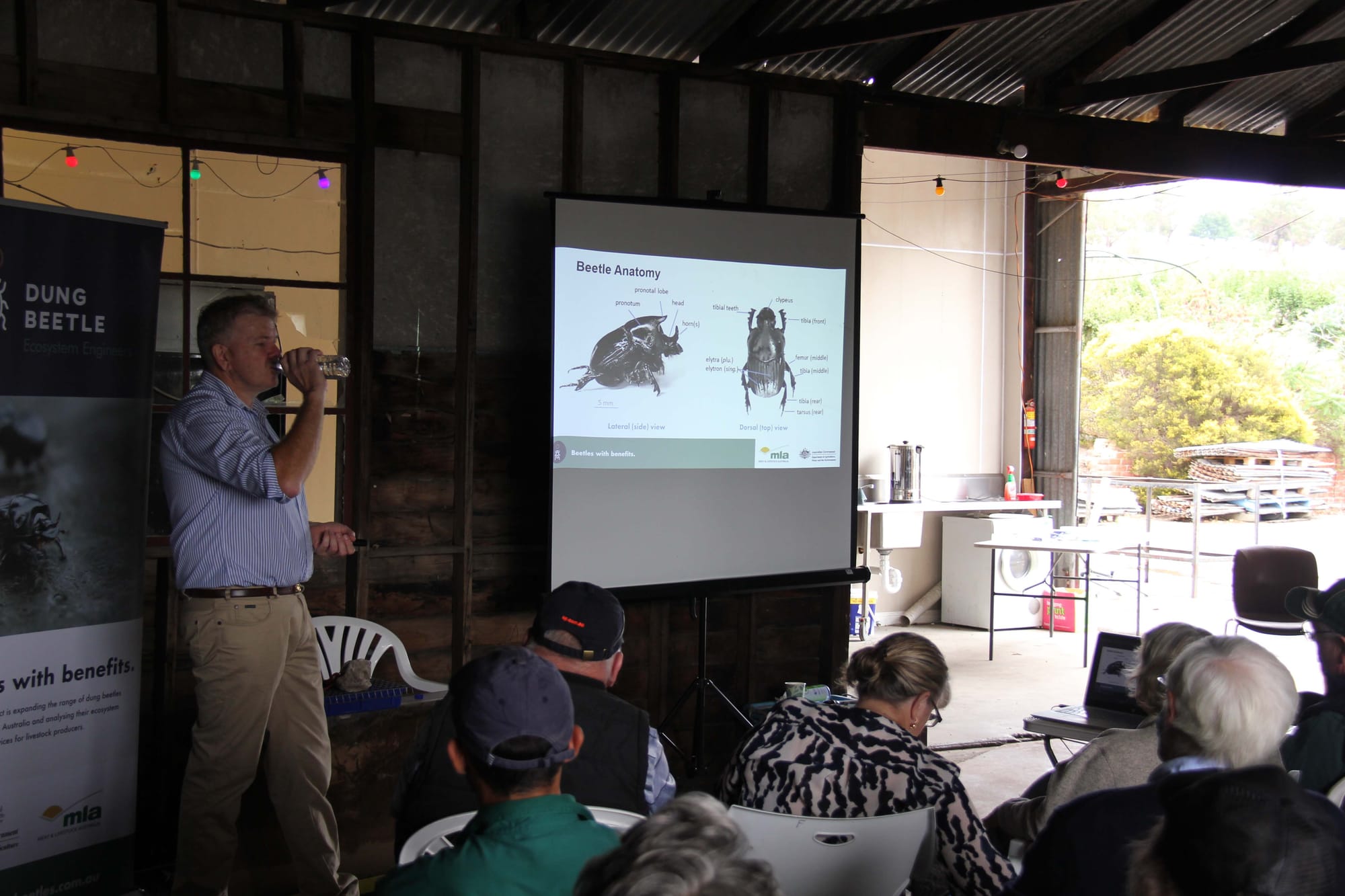 Dung Beetles - 15.03.2022