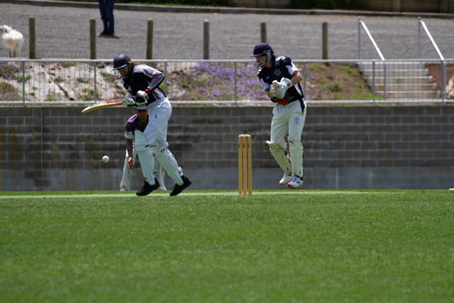 Cricket Div 1 Neerim v Catani - 27.11.2021