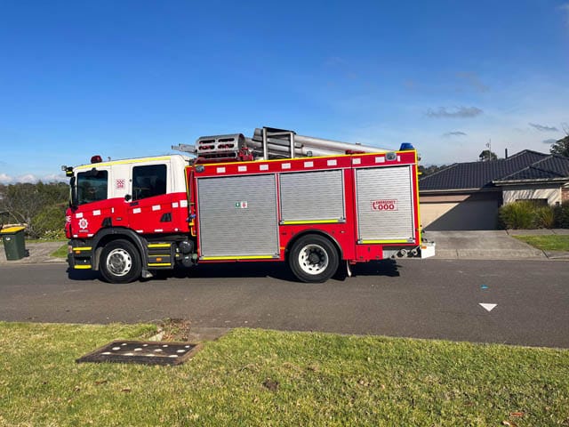 Gerald the Rescued Cat - 22.08.2023