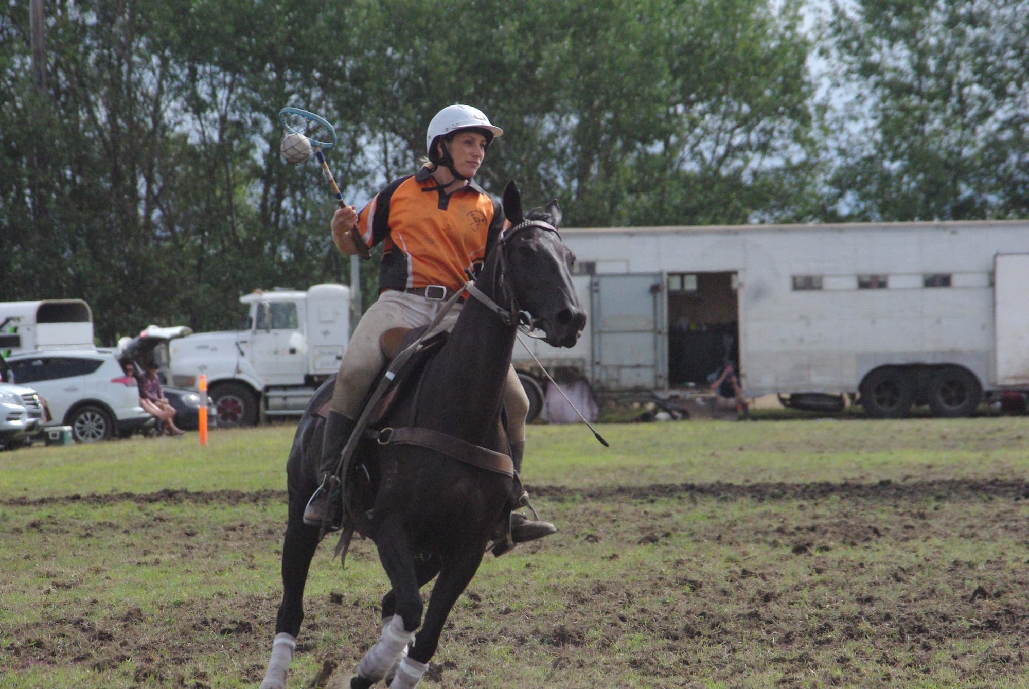 Traf Polox - 15.03.2022