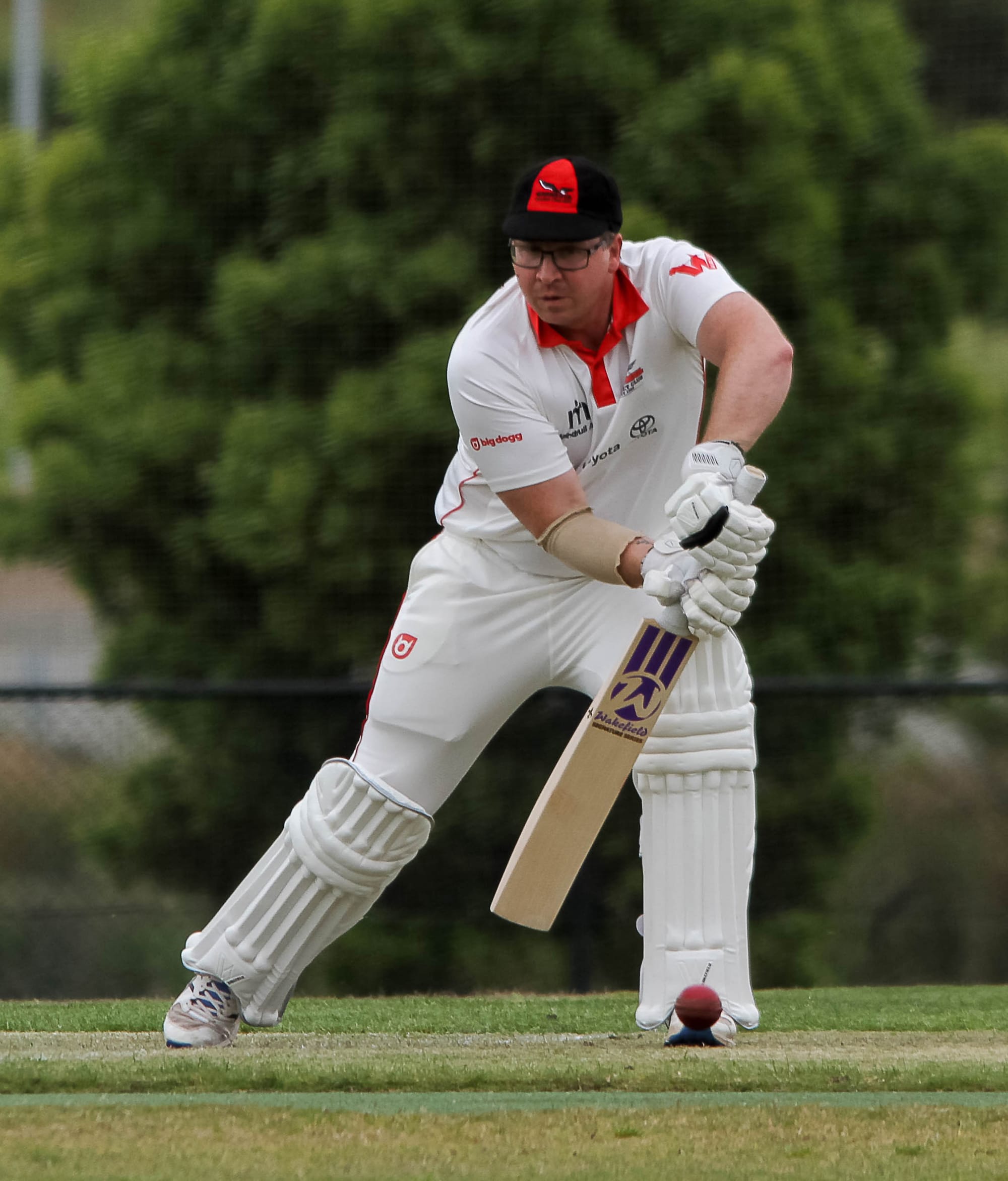 Cricket Div 2 - Western Park Vs. Warragul - 26.11.2022