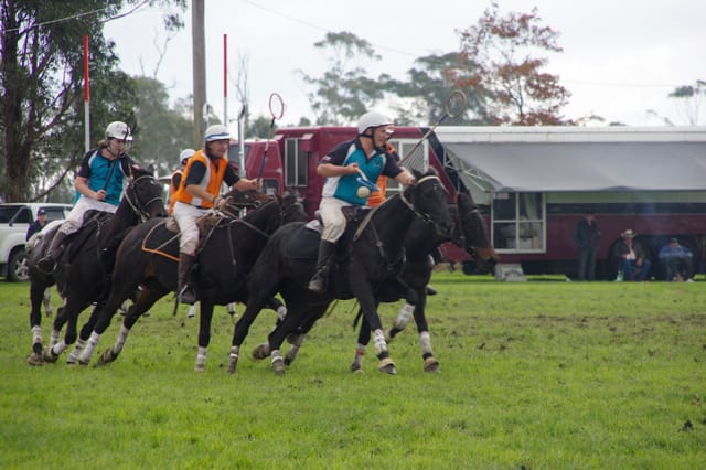 Trafalgar Polox - 2021 