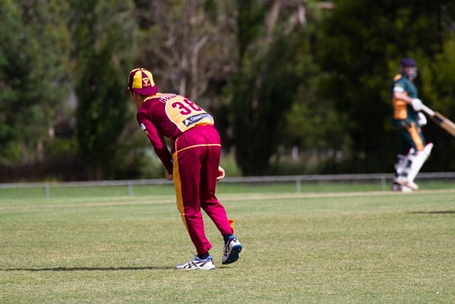 Cricket Div 2 Drouin v Hallora - 27.11.2021