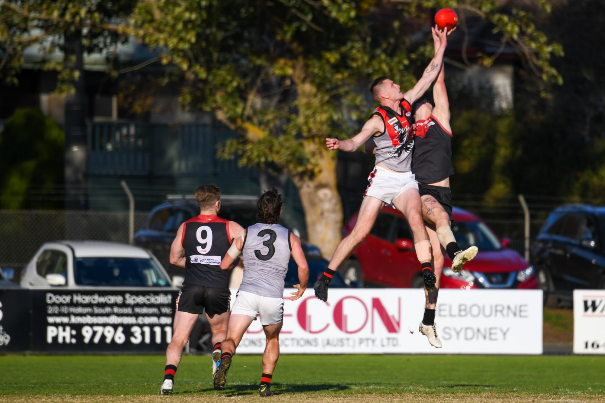 Magpies swoop in Battle of the Birds