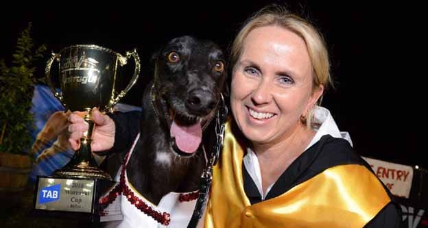 Aston Dee Bee wins Cup