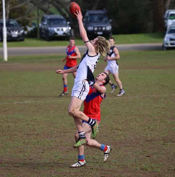 Catani plays hard for a draw