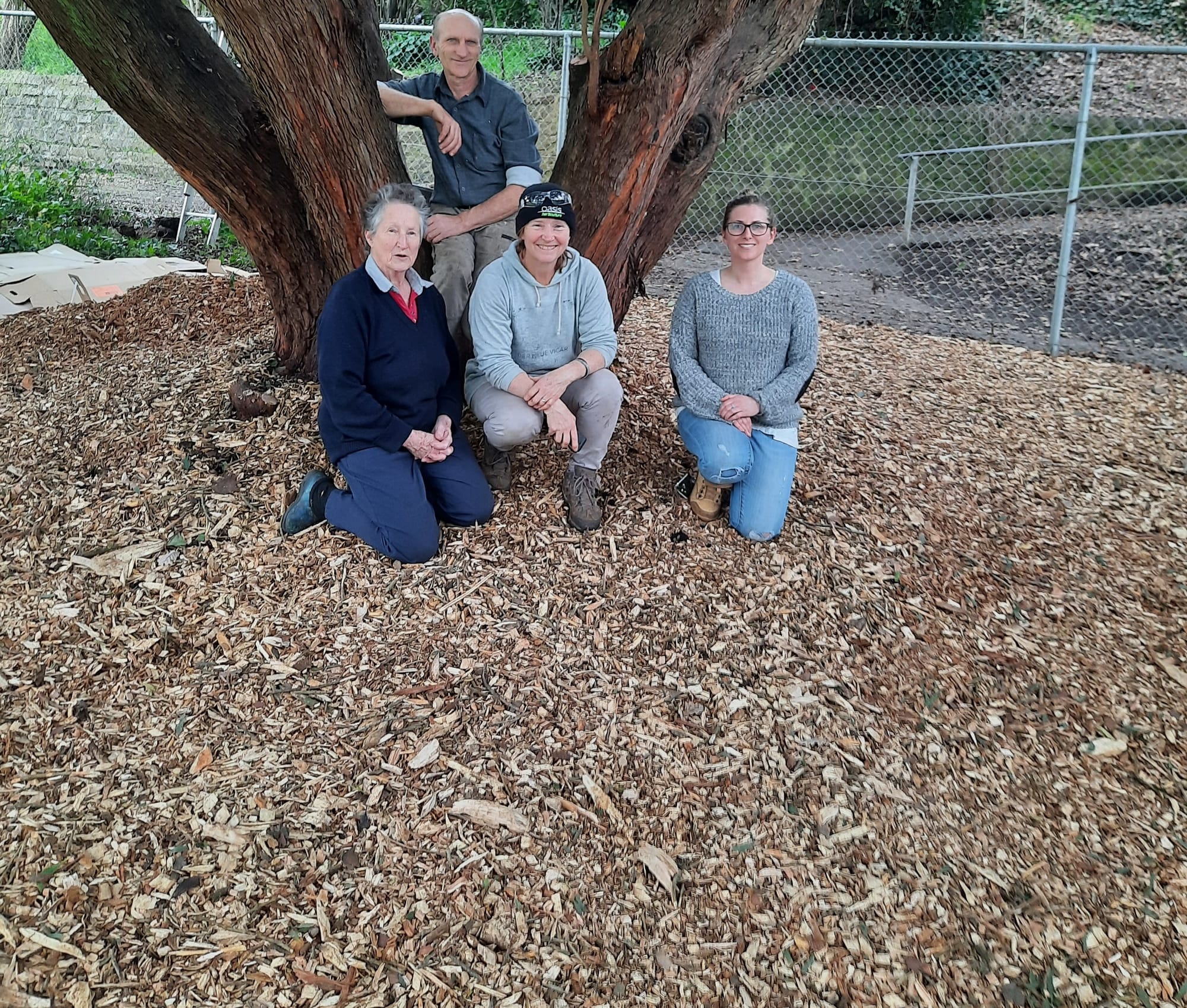 You've got a friend in tree