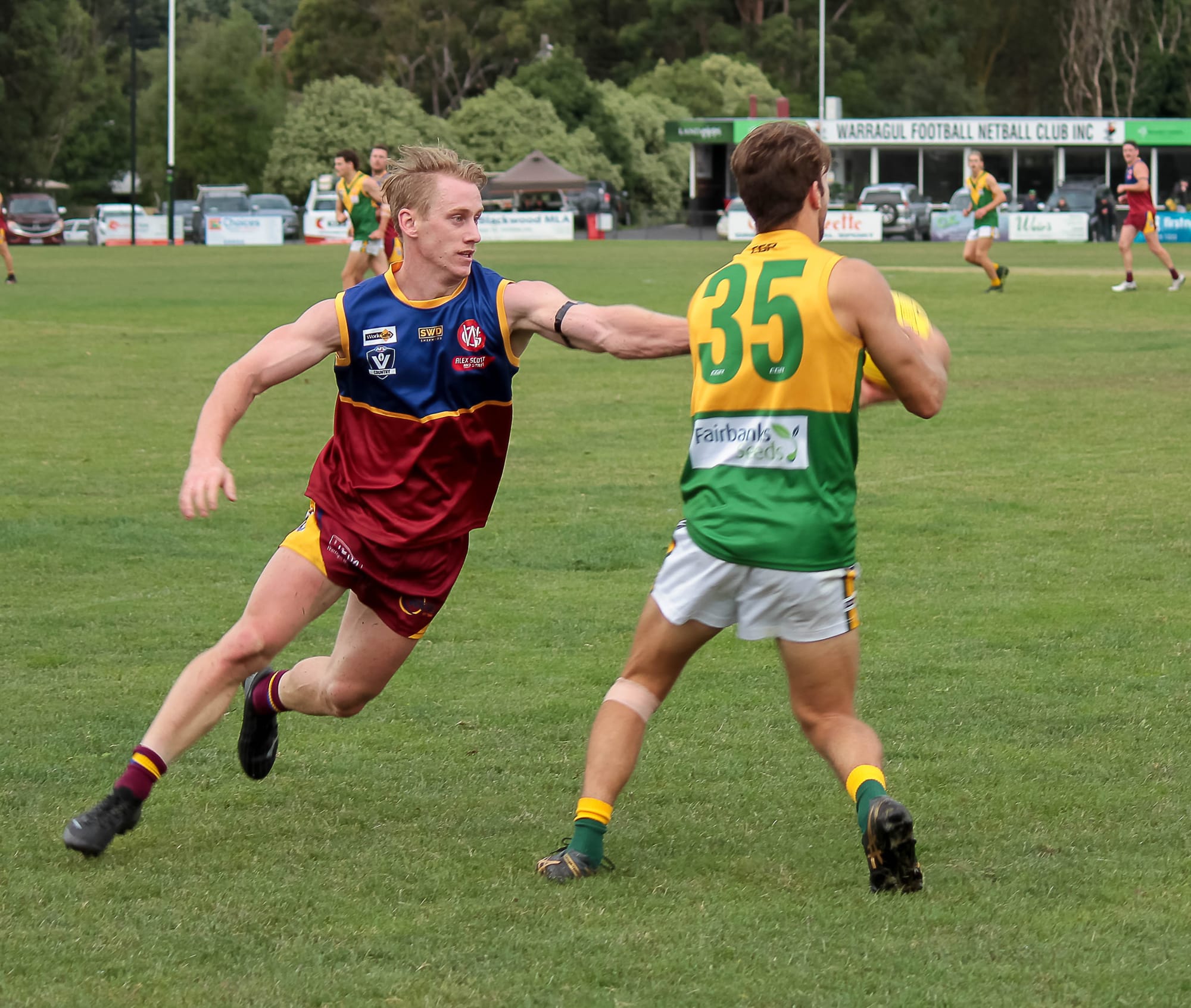 Big opportunity awaits for Dusties