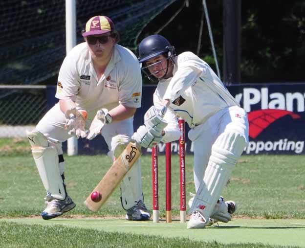 Twin centuries for Parkers