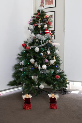 Christmas Photo -  16.12.2021