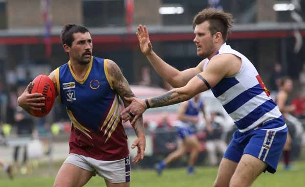 Dusties topple Cats