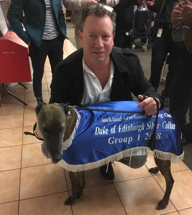 Greyhound wins in Auckland