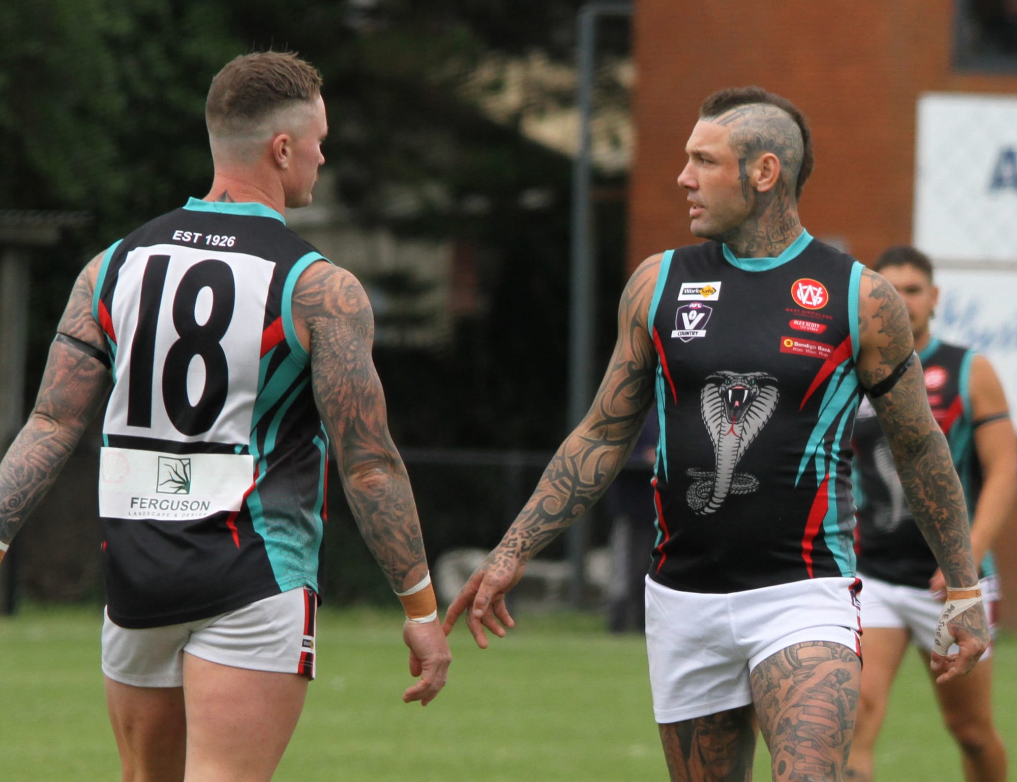 Cobras tamed by Seagulls