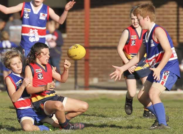 Determination in WDJFL