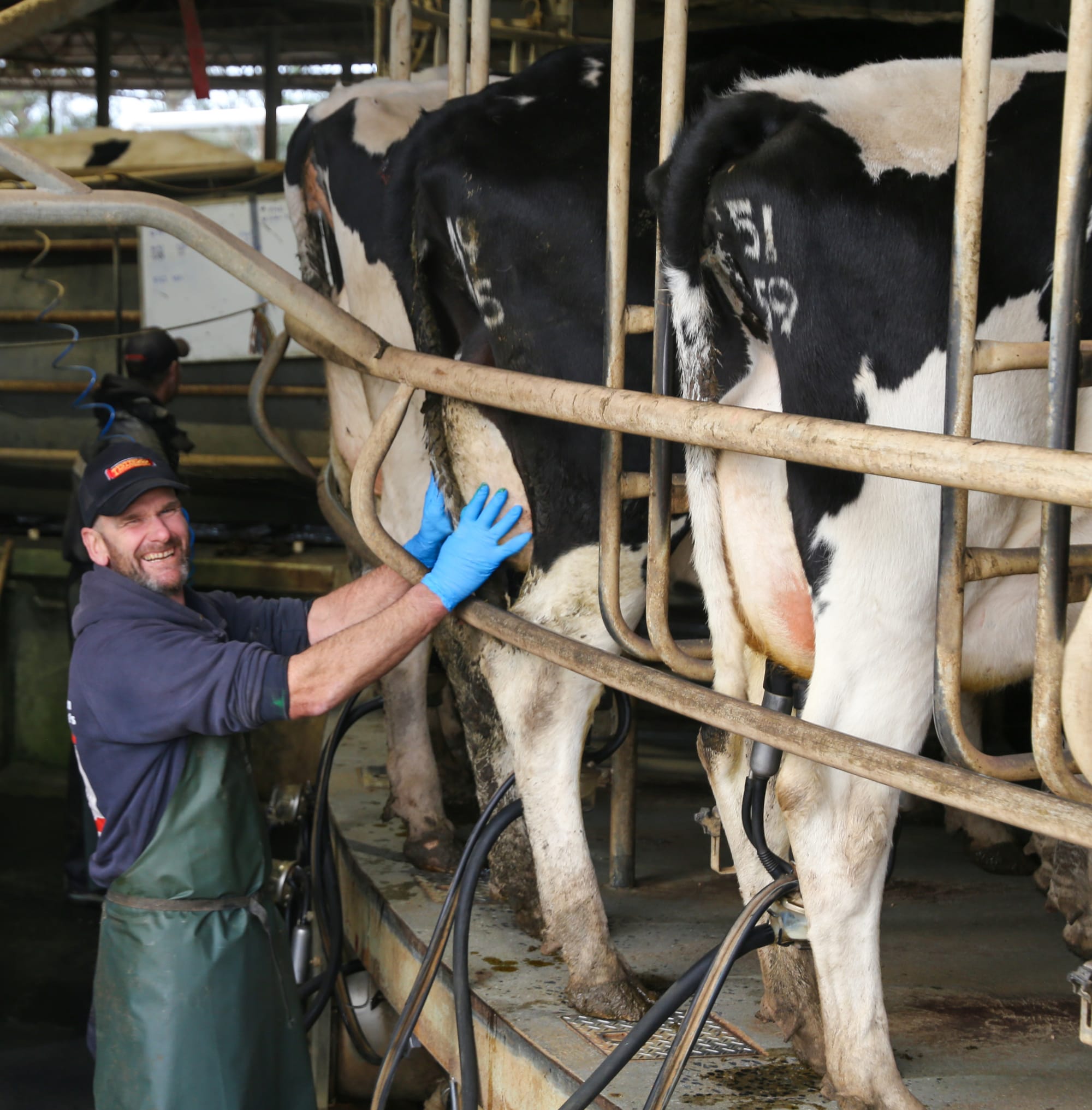 Dairy boom times