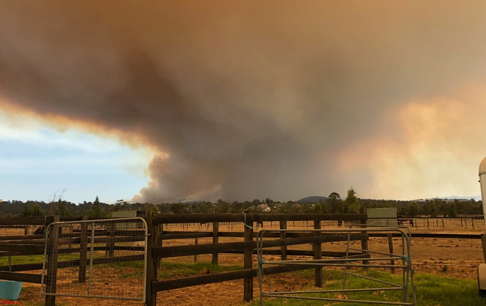 Exhibition to show resilience of Bunyip Complex Bushfires