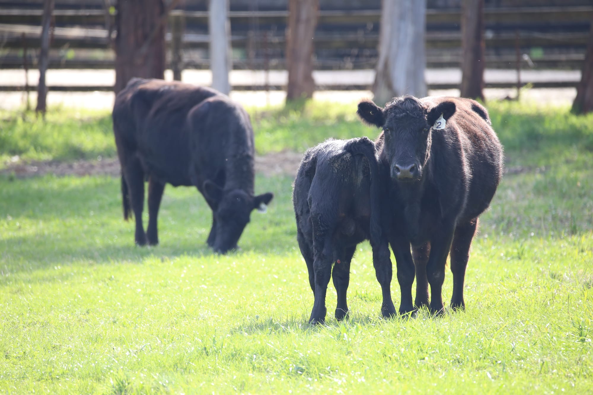 Funding extended for biosecurity initiative