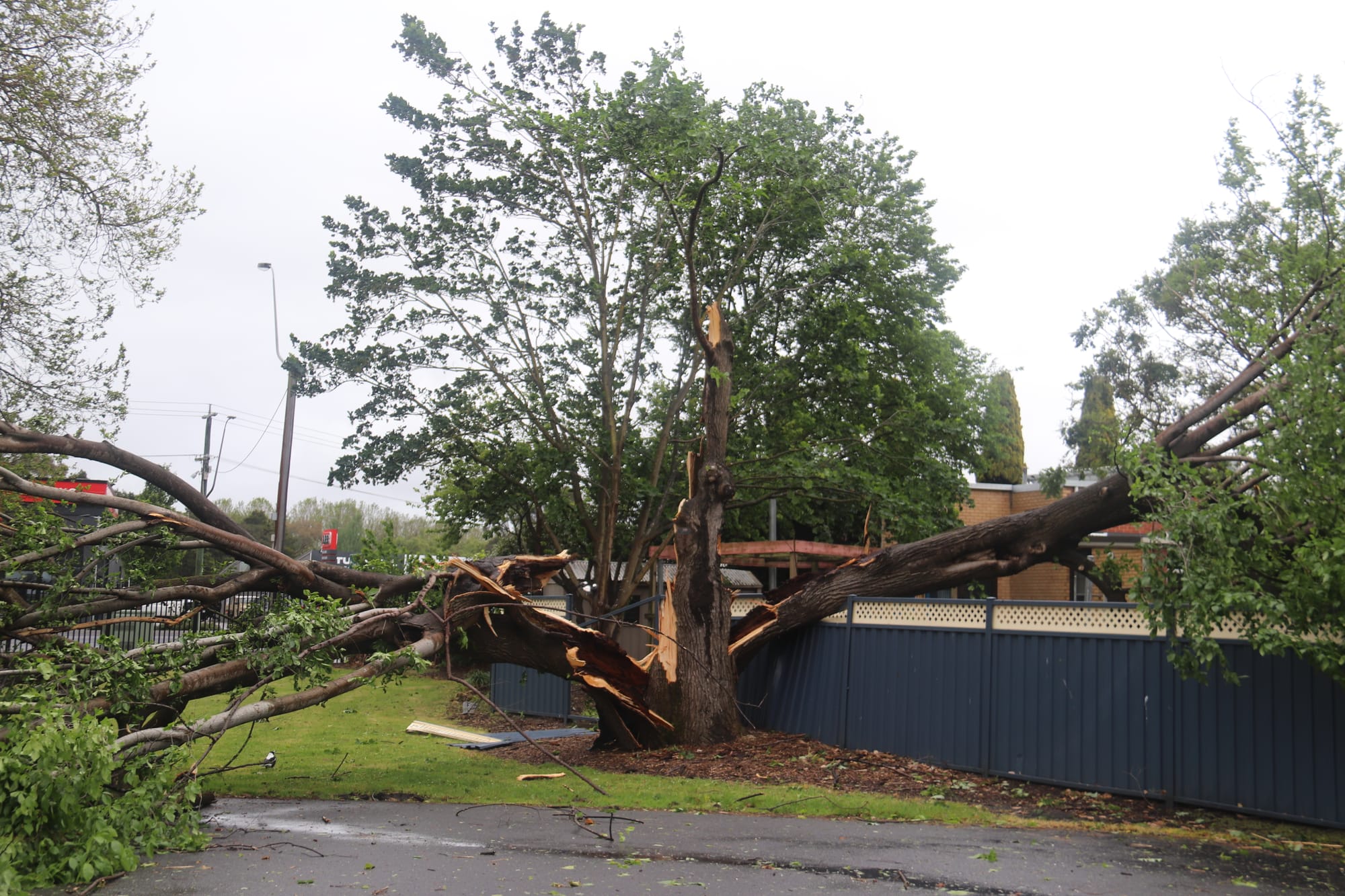 Wild winds leave a trail of destruction across West Gippsland