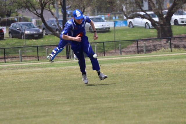 Cricket Div 1 Western Park v Ellinbank - 19112021