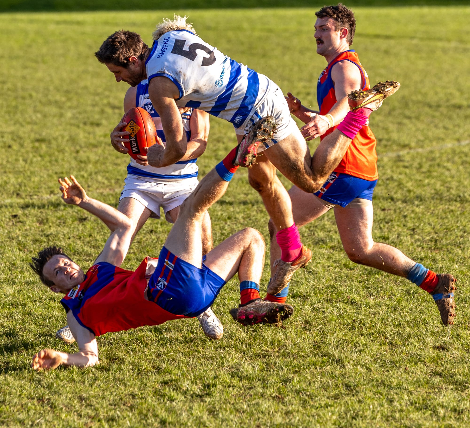 Premiership challengers Lyrebirds and Bloods meet in EDFNL