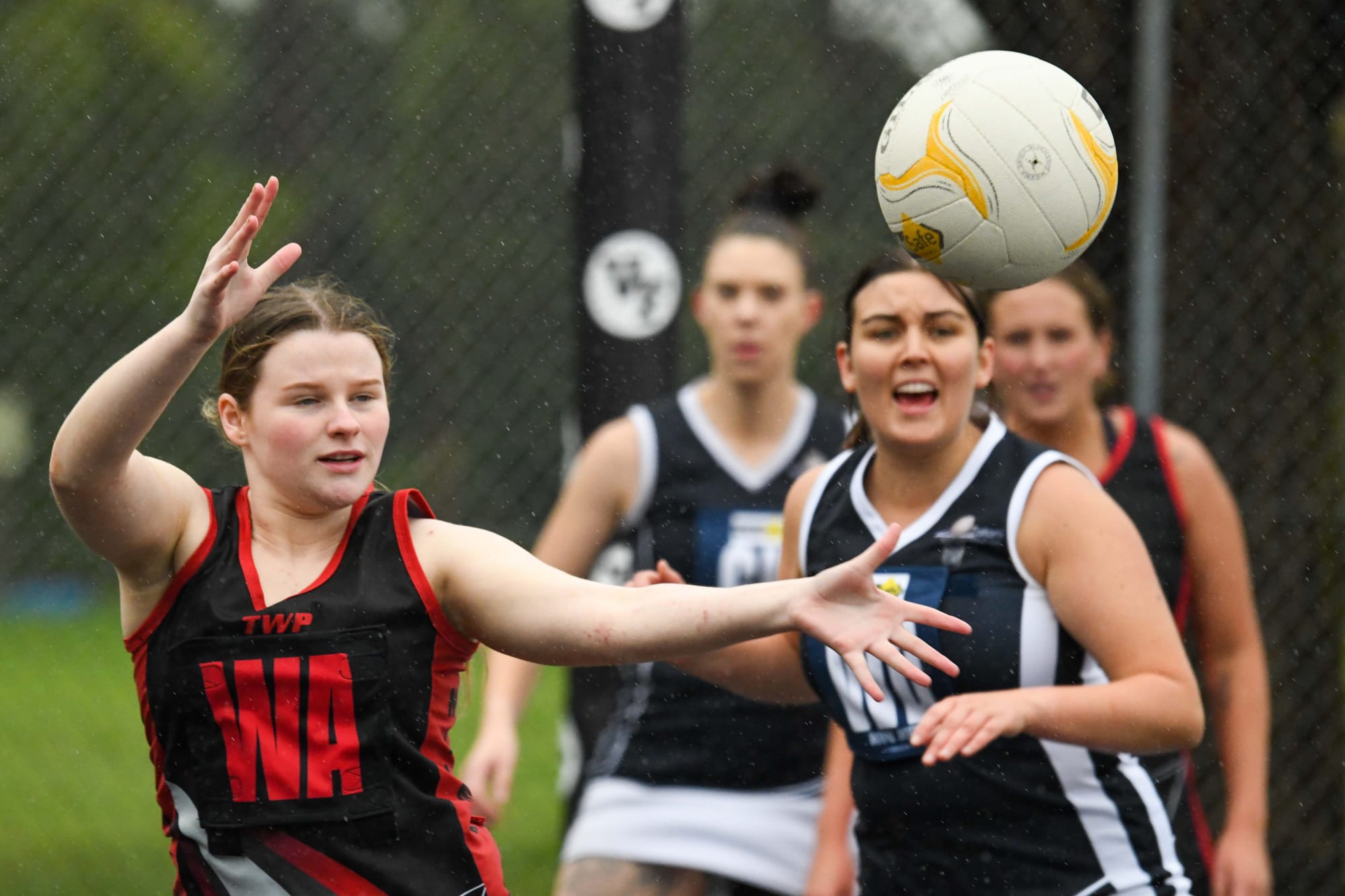 Netball EDFL C Grade Nilma Darnum Vs. Catani - 11.06.2022