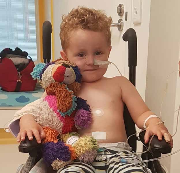 Ashton finds teddy