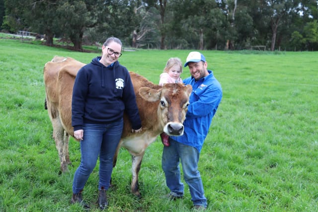 Gippsland Jersey Lebrocq - 03.08.2021 