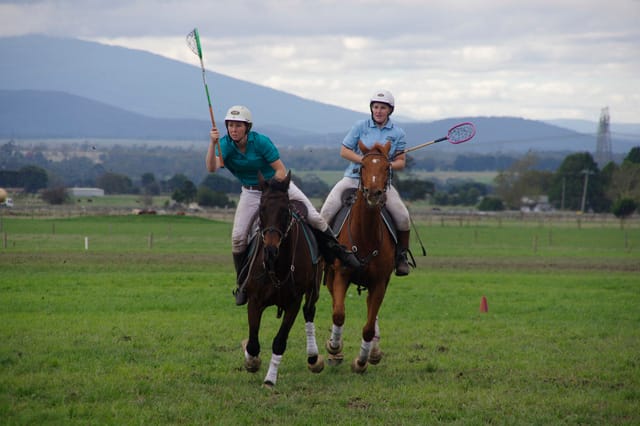 Trafalgar Polox - 2021 