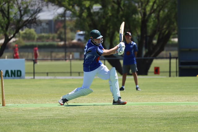 Cricket Div 4 Western Park Vs. Drouin - 05.02.2022