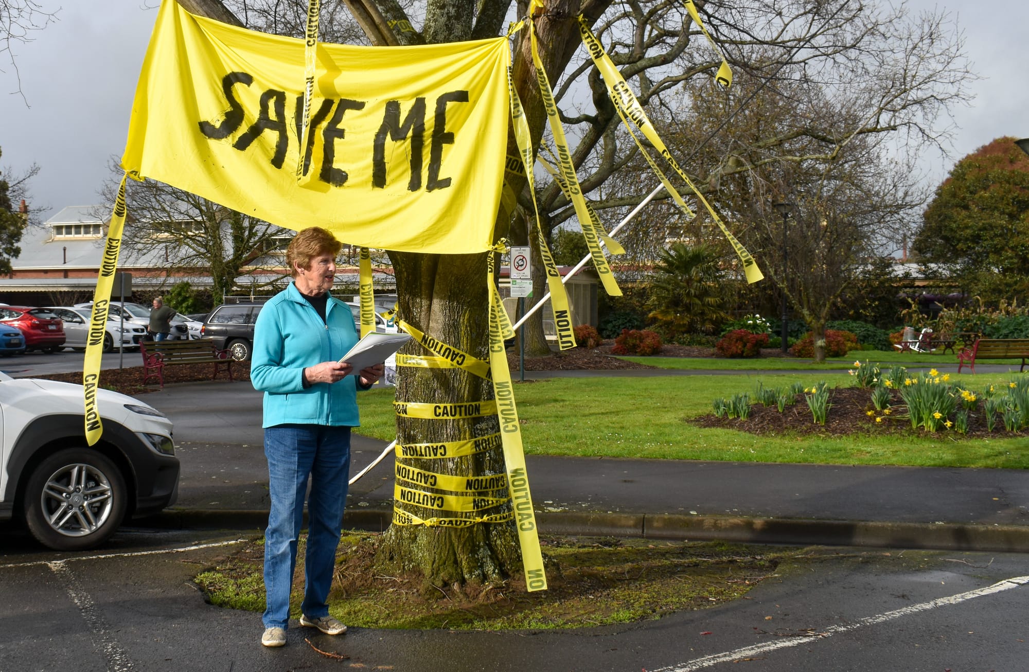 Removal of heritage elms postponed