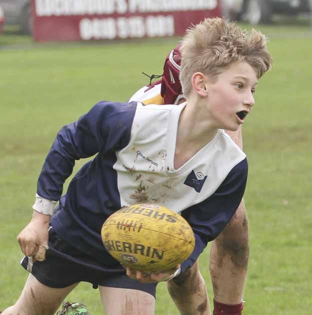 Junior winners