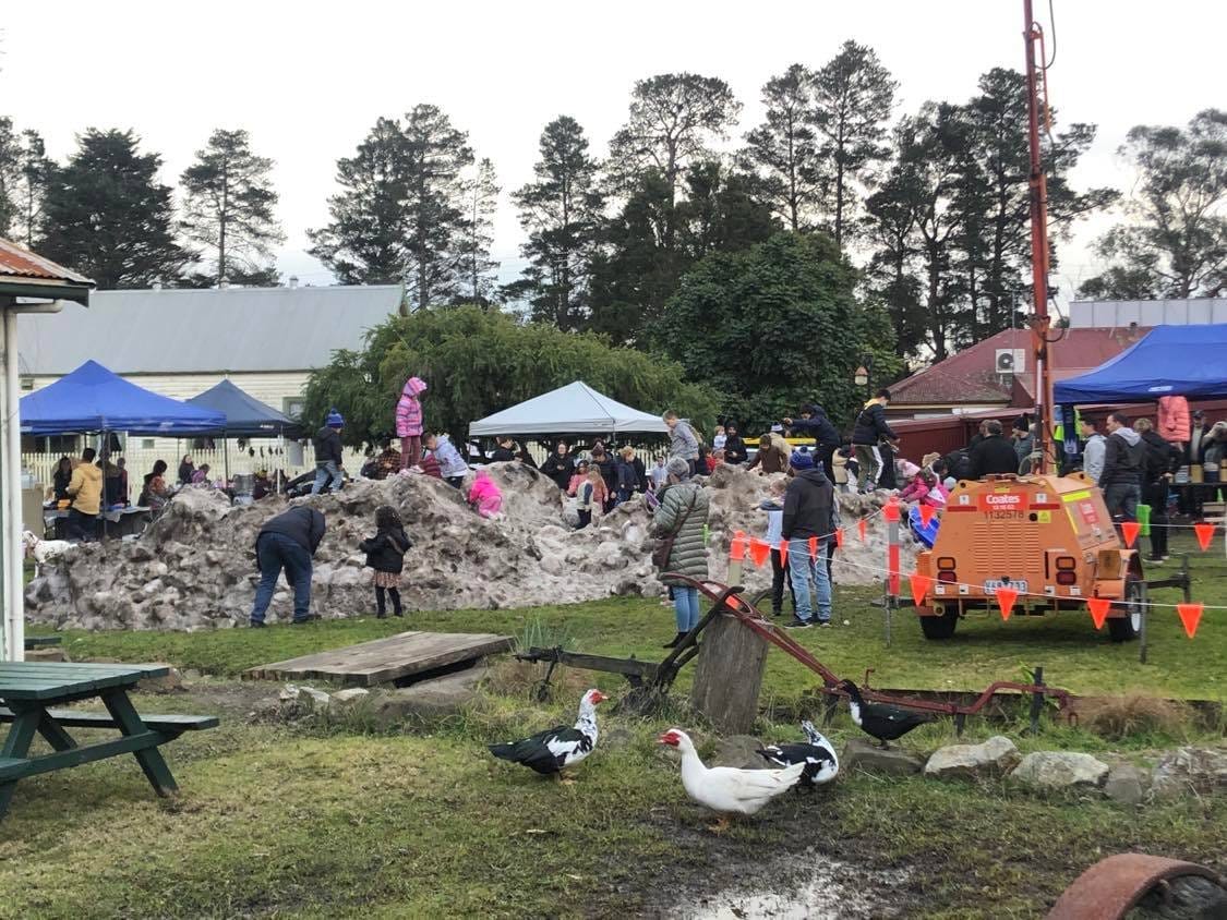 Moonlight market proves popular