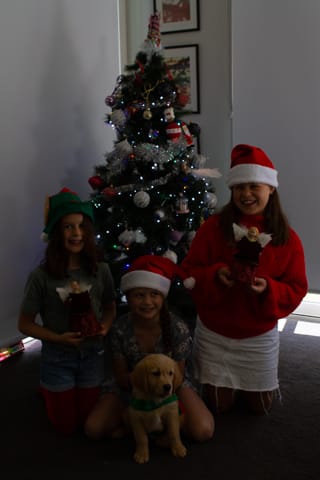 Christmas Photo -  16.12.2021