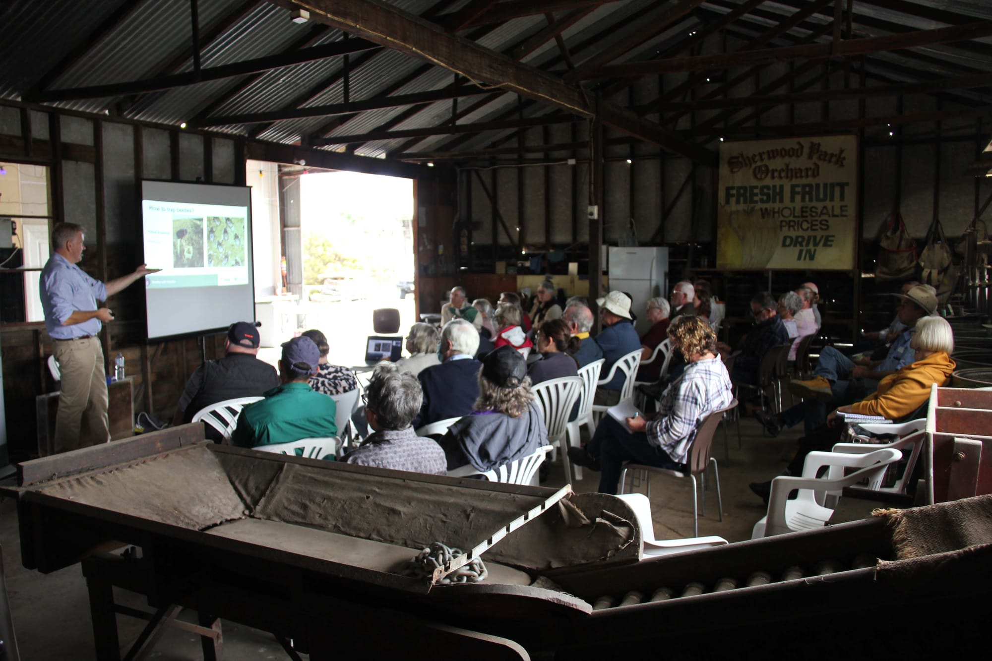Dung Beetles - 15.03.2022