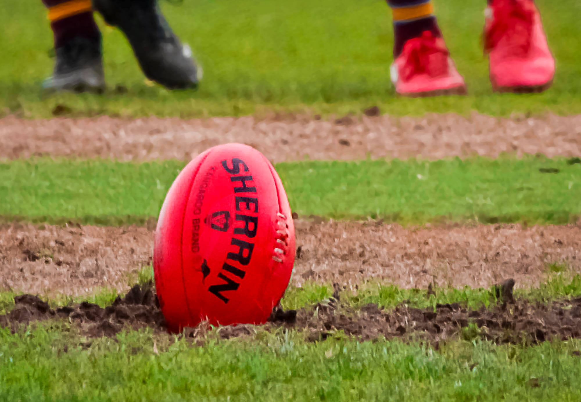 Lyrebirds smash Cats in grand final replay