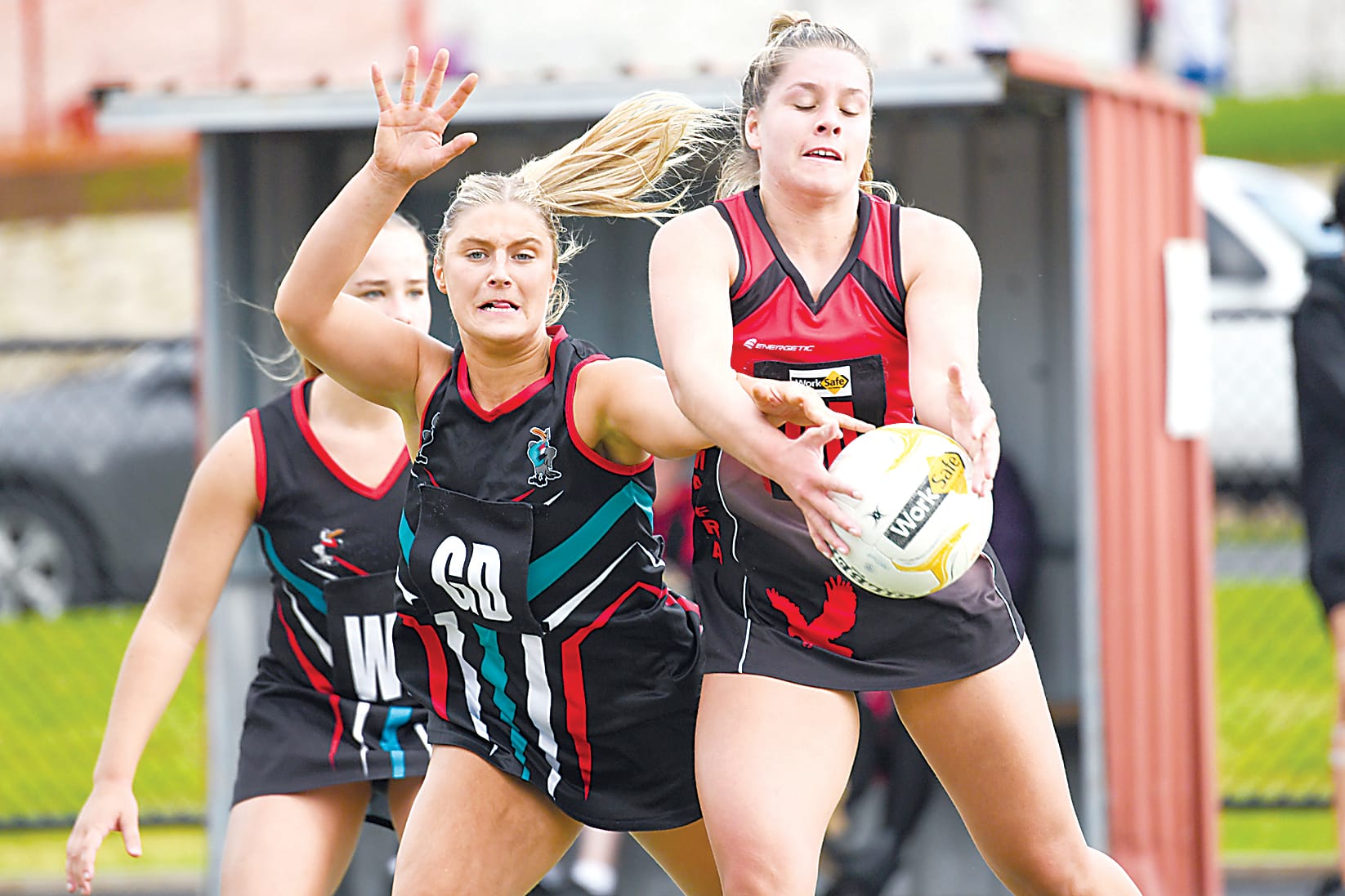 Win keeps Gulls in the finals hunt