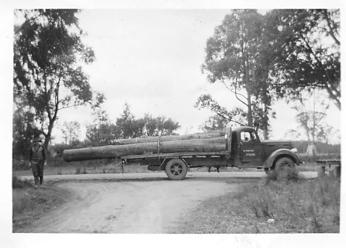 Snapshot of the past - carting trees