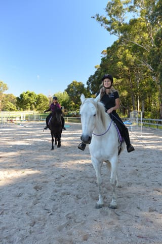 Bridleless Riders - 23.12.2021