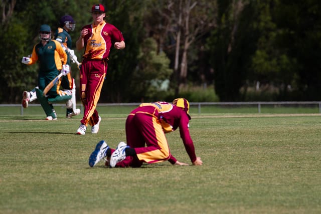 Cricket Div 2 Drouin v Hallora - 27.11.2021