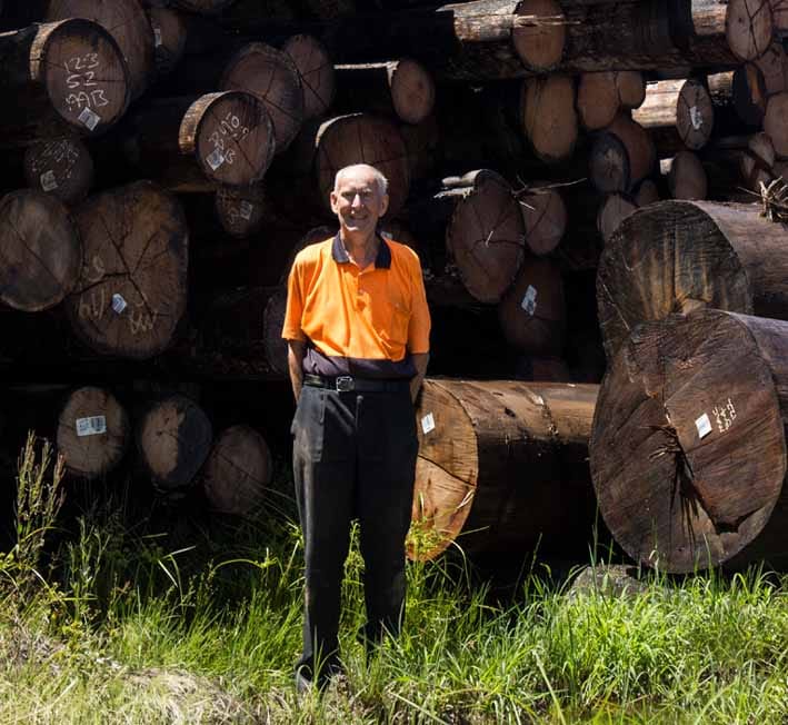 Timber threat